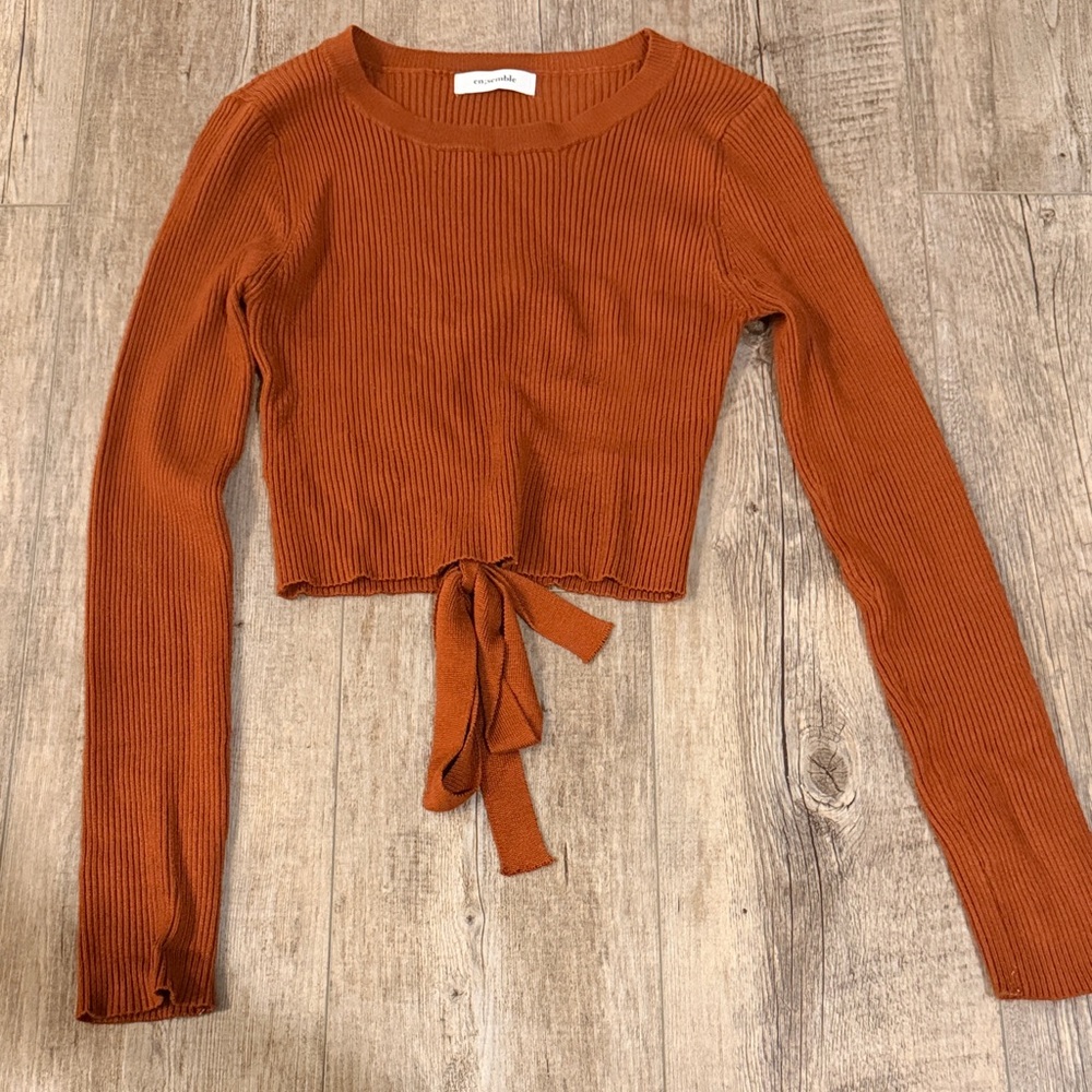 Rust long sleeve crop top